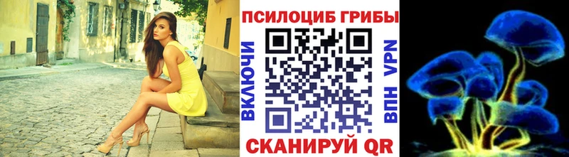 Галлюциногенные грибы ЛСД  Кашин 
